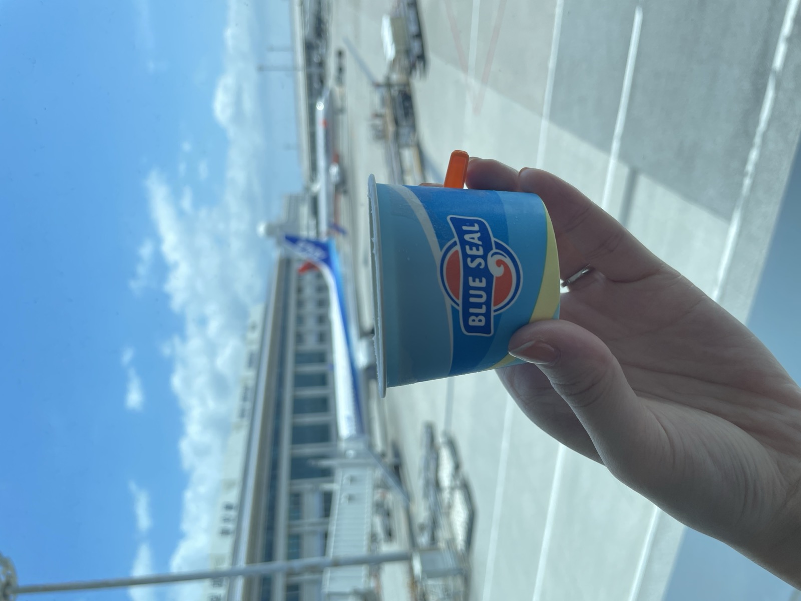 ブルーシールアイスクリーム